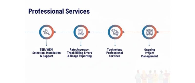 professional services (1)